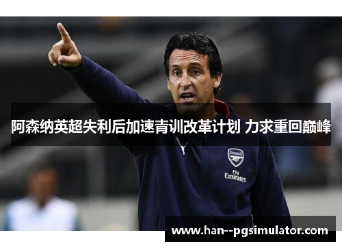 阿森纳英超失利后加速青训改革计划 力求重回巅峰 阿森纳英超失利后加速青训改革计划 力求重回巅峰