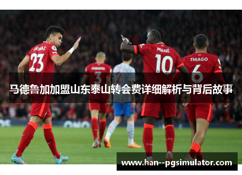 马德鲁加加盟山东泰山转会费详细解析与背后故事