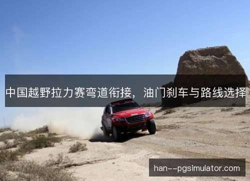 中国越野拉力赛弯道衔接，油门刹车与路线选择